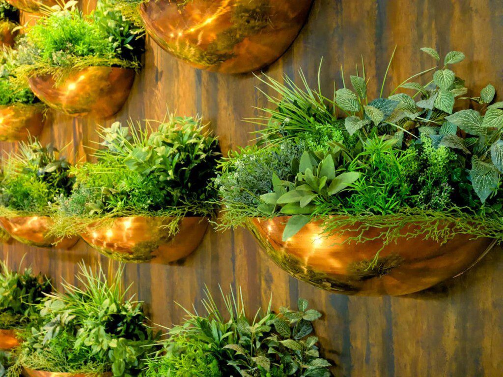 prateleira para plantas