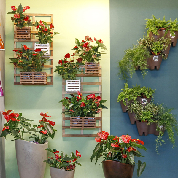 decoração com plantas verticais