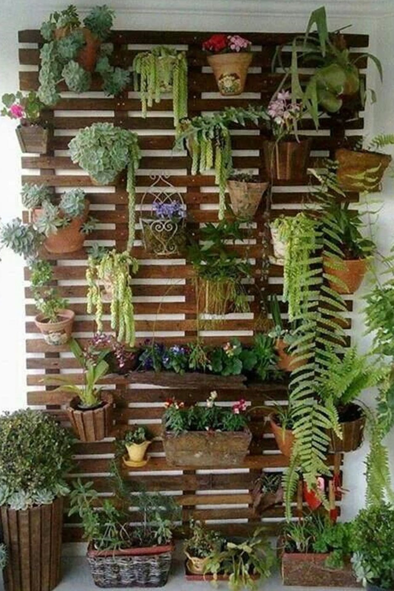 plantas na decoração da sala
