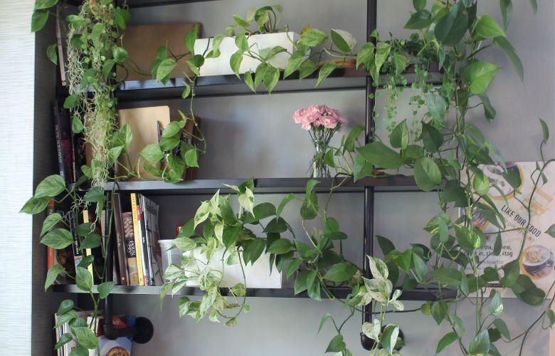 plantas na decoração do quarto