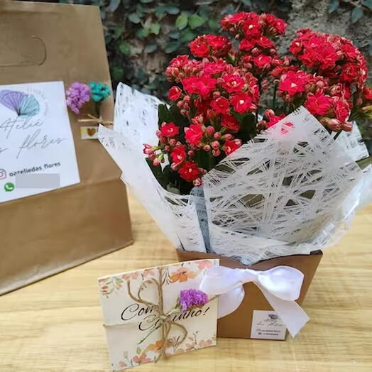 Como escolher o presente perfeito para cada tipo de amiga