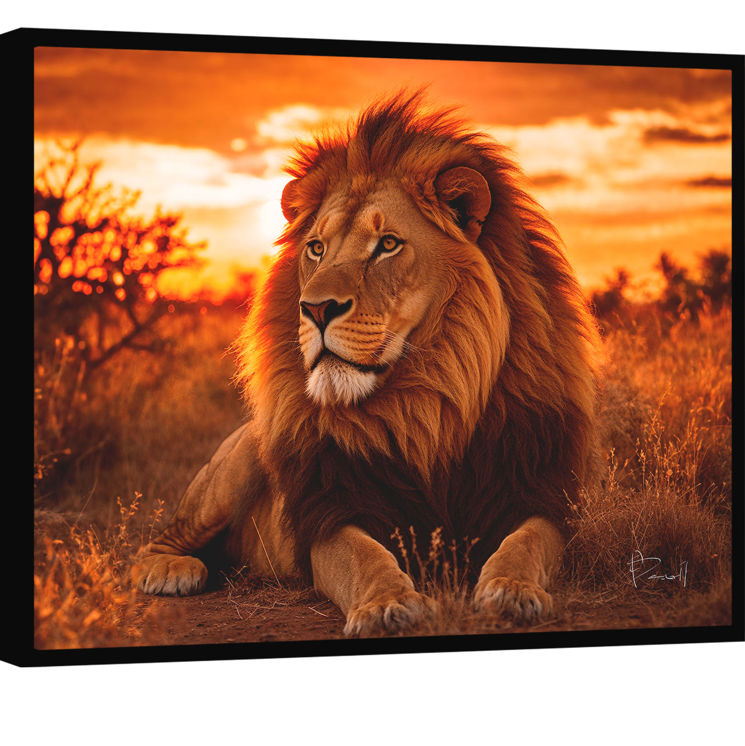 quadro leão africano