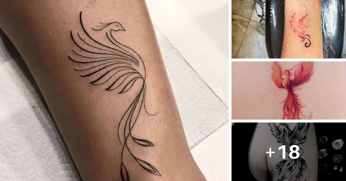 tatuagem fênix china