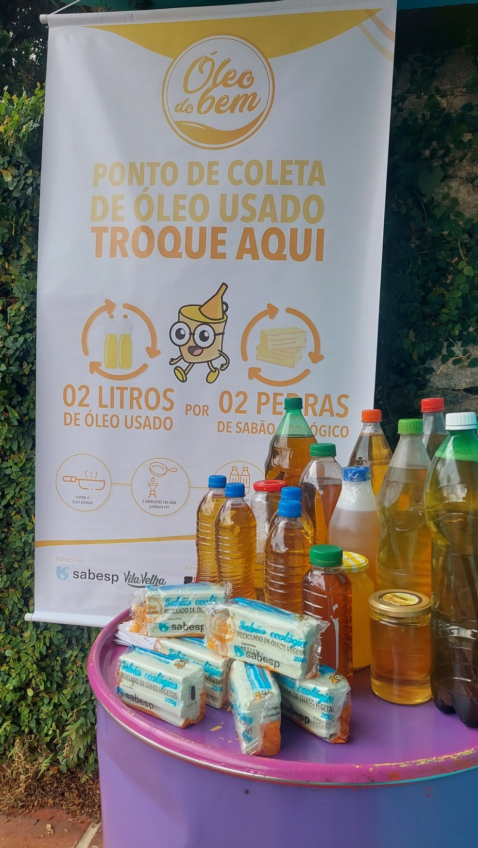 melhores sementes para fazer oleo em casa