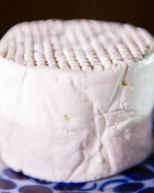 ricota fresca teor de gordura cicatrização tatuagem