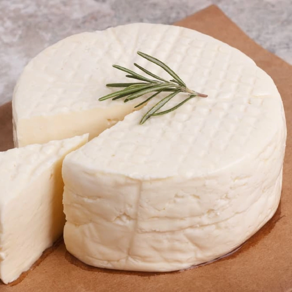 queijo minas frescal ou ricota para tatuagem