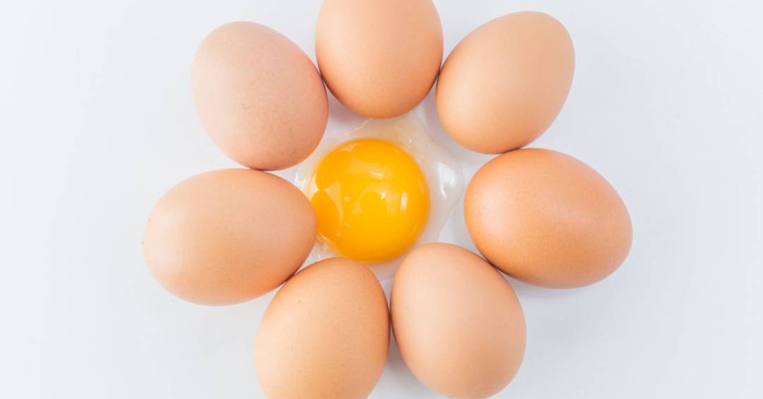 erros comuns na alimentação pós tatuagem