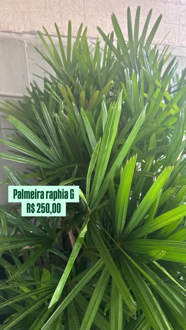artesanato com rafia
