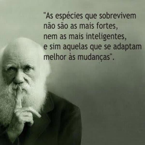 importância da atitude
