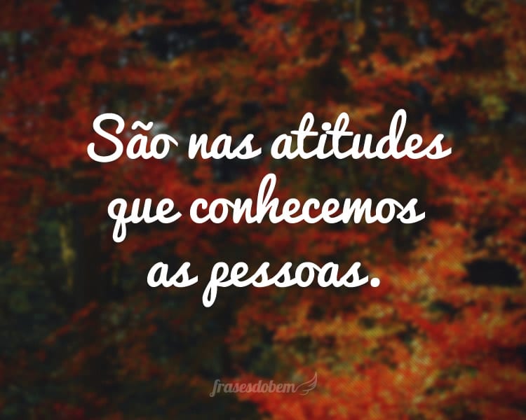 reflexão sobre comportamento