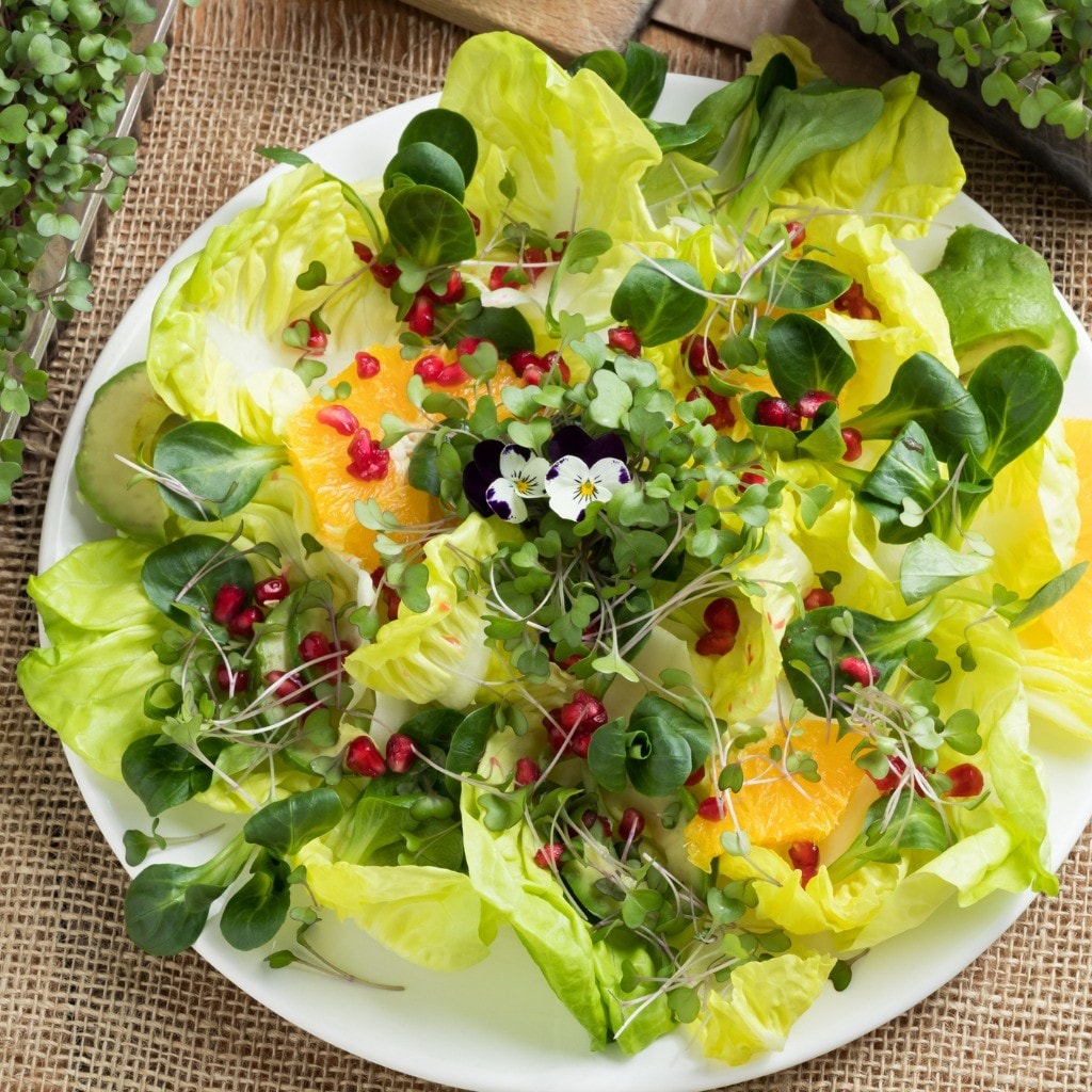Dicas de decoração para saladas