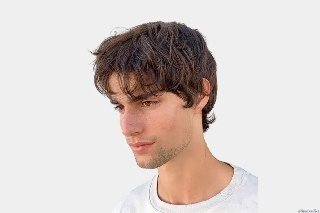 corte despojado