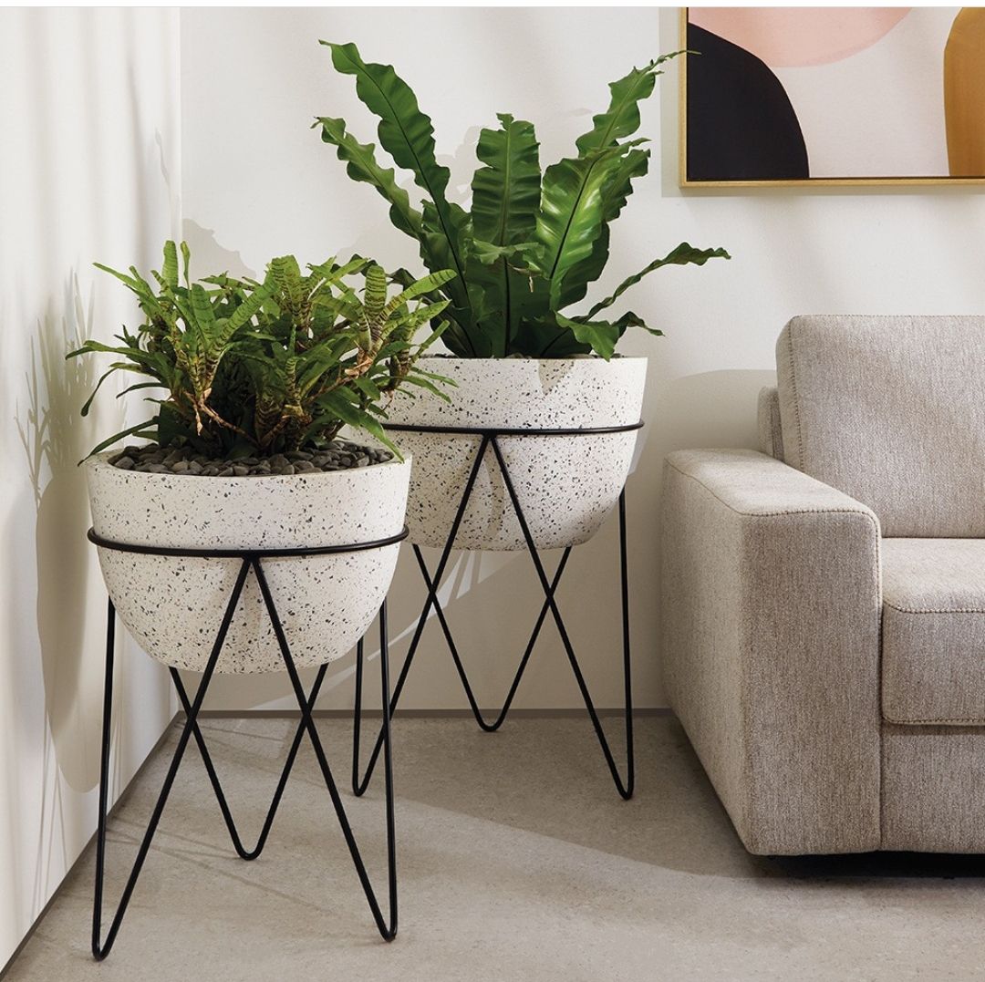 suporte de plantas de parede