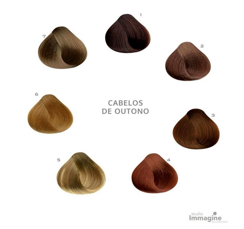 5 ideias de títulos