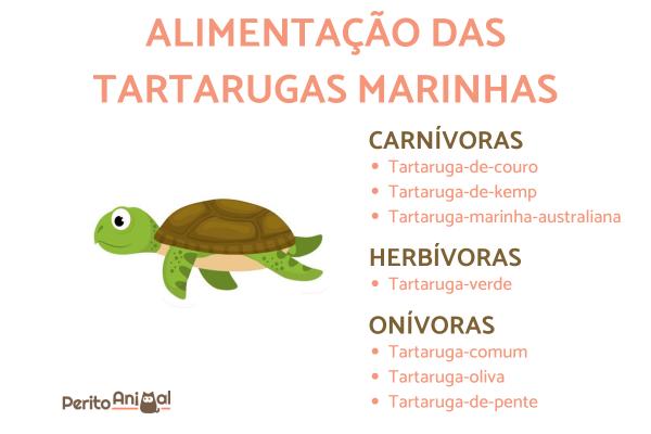 o que cágado come
