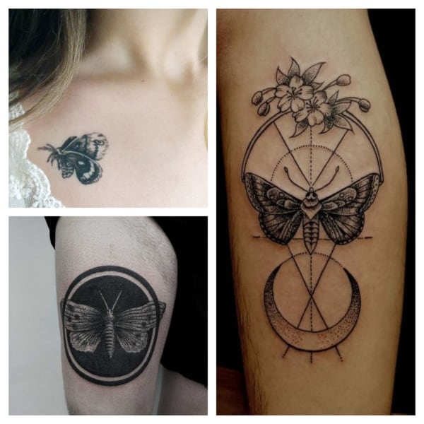 tatuagem borboleta vs tatuagem libélula: qual escolher