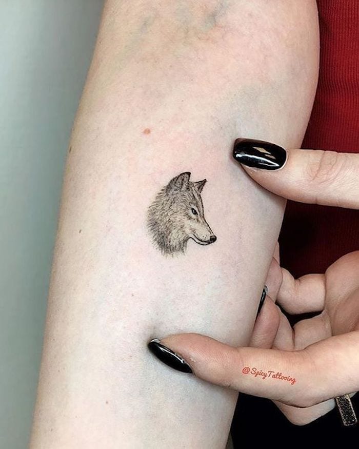 tatuagem de lobo no braço