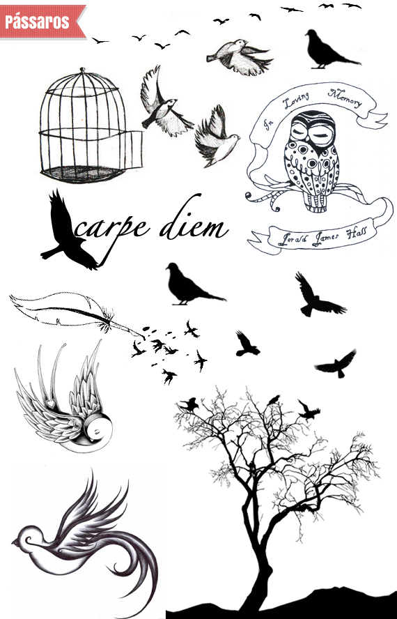 tatuagem tradicional vs neo tradicional qual a diferença