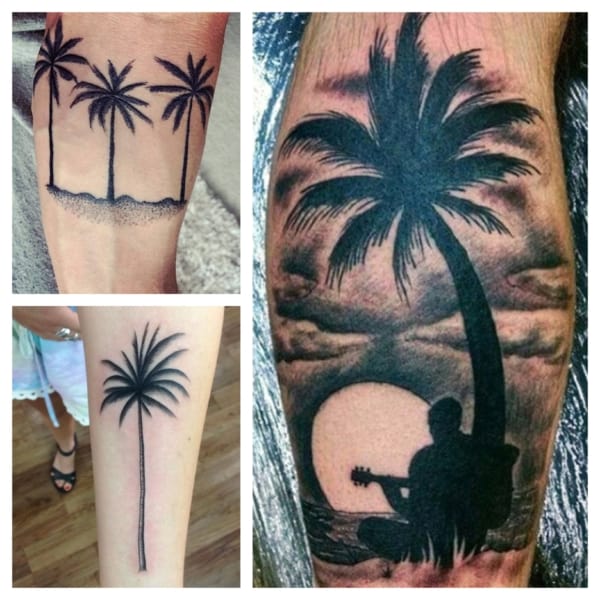 tatuagem coqueiro virilha masculina significado