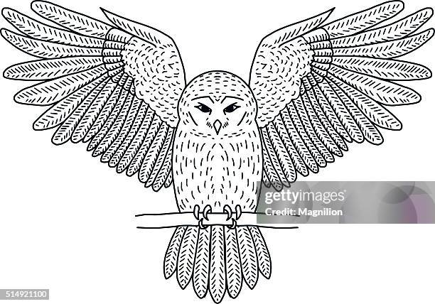 tatuagem coruja desenho