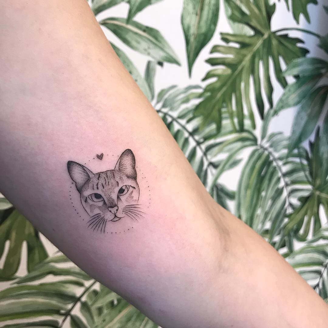 tatuagem de gatinho