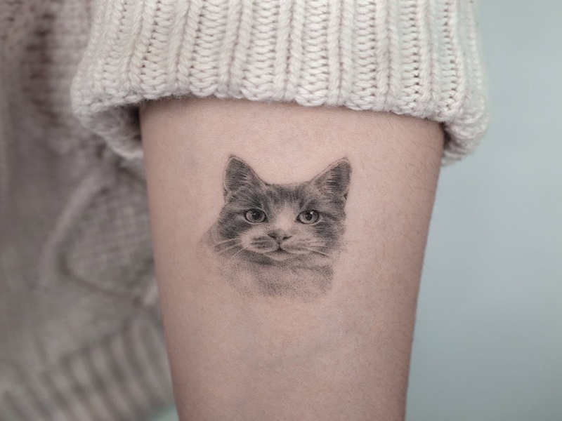 tatuagem de gatinho