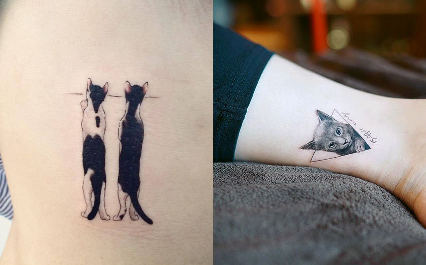 tatuagem de gatinho