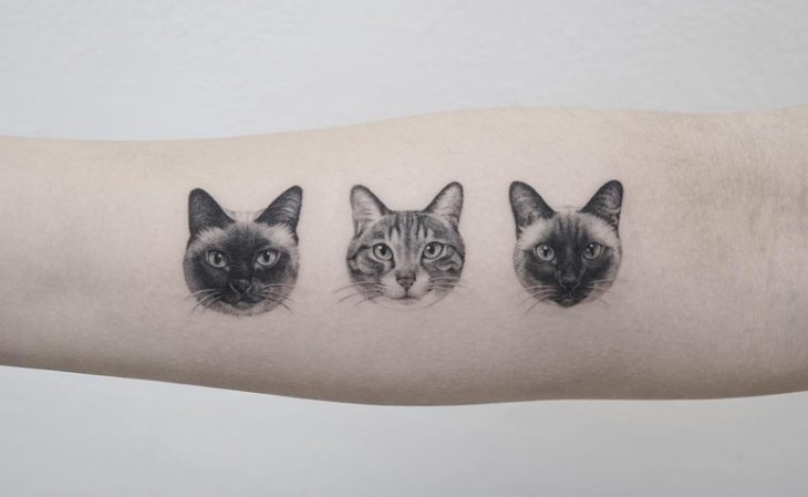 tatuagem de gatinho