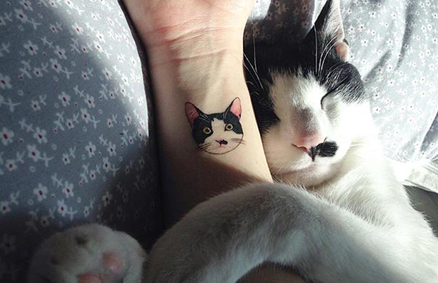 tatuagem de gatinho
