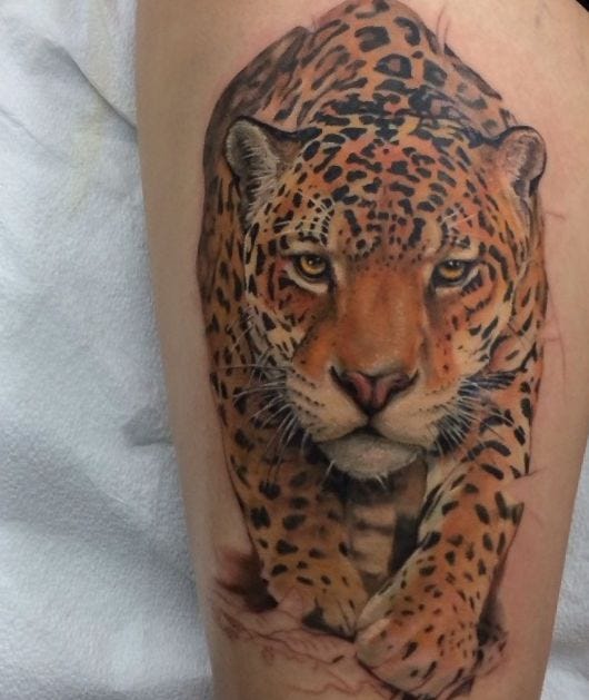 tatuagem de onça vs tatuagem de tigre qual escolher