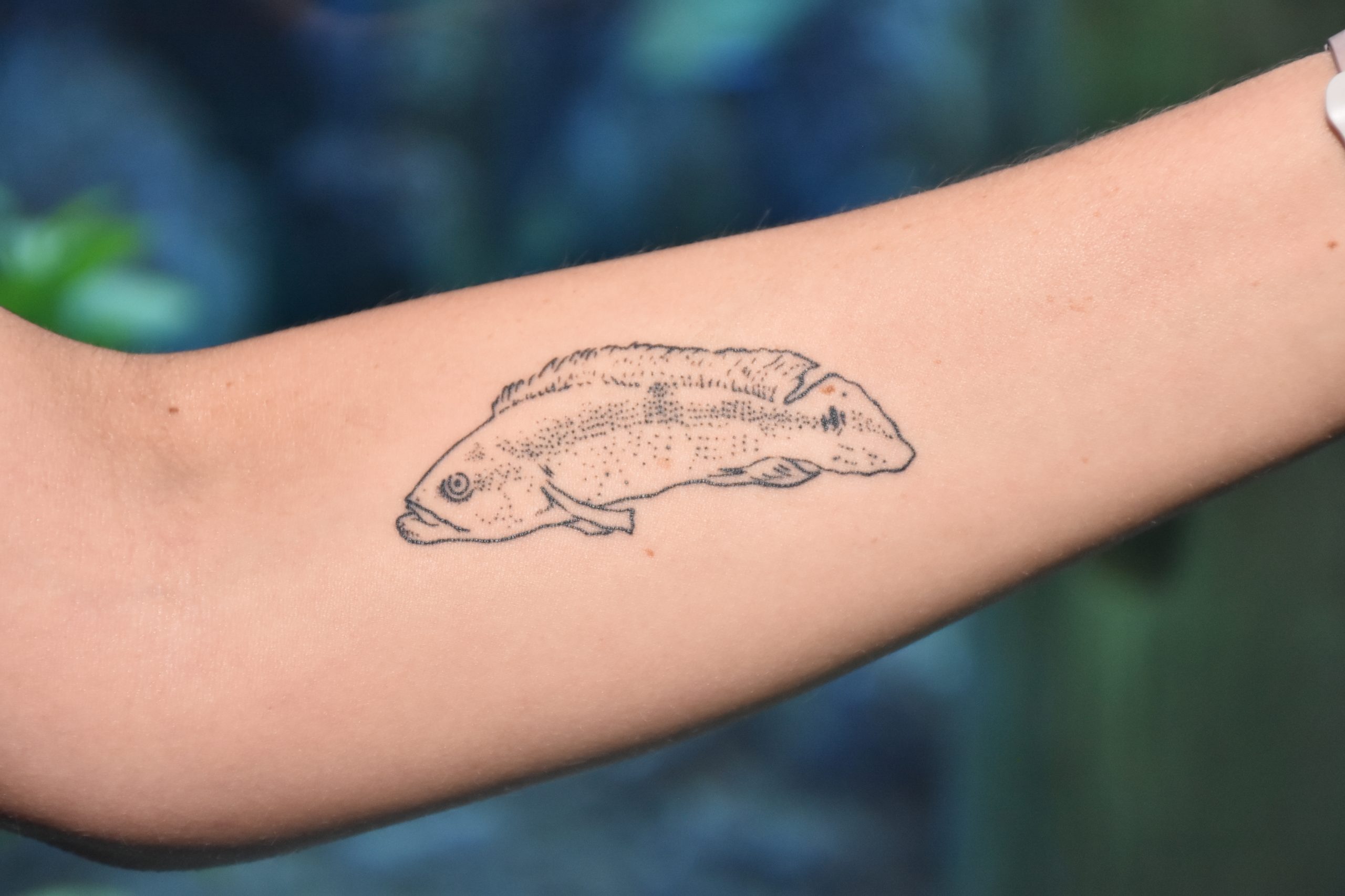 Tatuagem de peixe para abundância