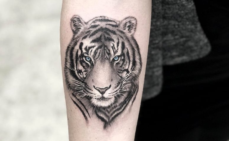 tatuagem feminina de tigre