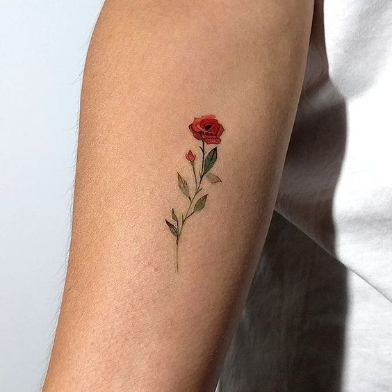 melhores estilos de tatuagem de rosa no braço feminino