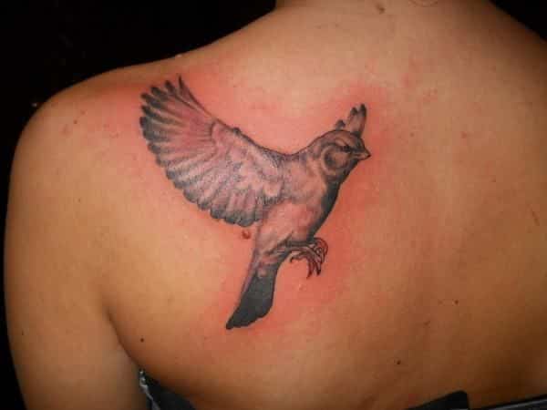 quanto custa tratar uma tatuagem inflamada