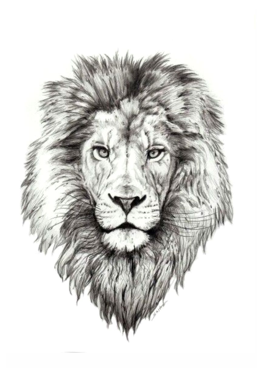 tatuagem leão desenho