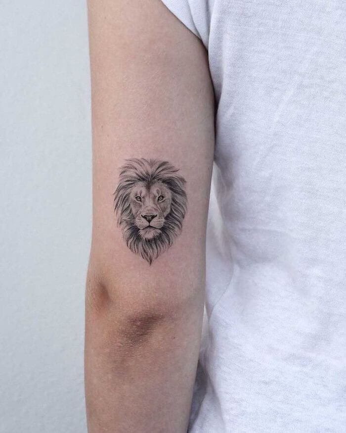 tatuagem leão desenho