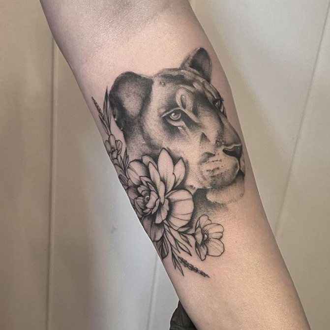 tatuagem leoa sombreada antebraço feminino com flores significado