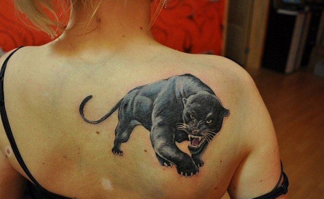 erros comuns ao escolher uma tatuagem de pantera feminina