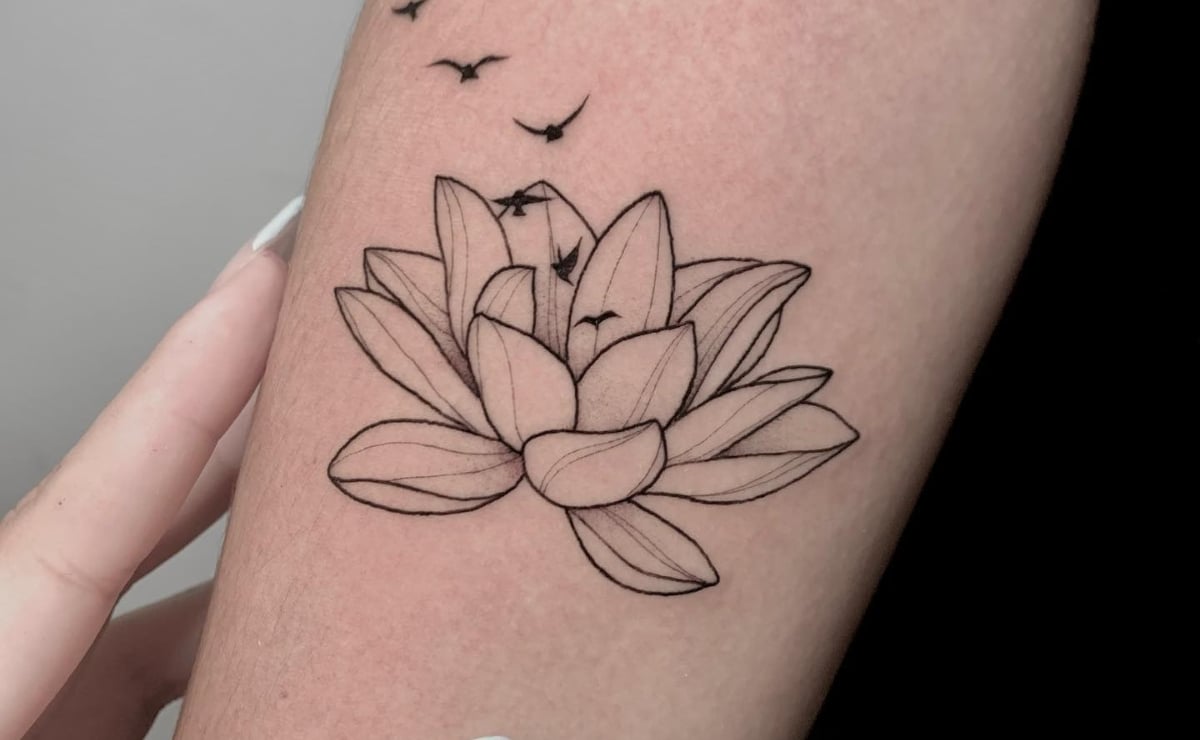 tatuagem resiliencia flor de lotus ou fenix qual melhor
