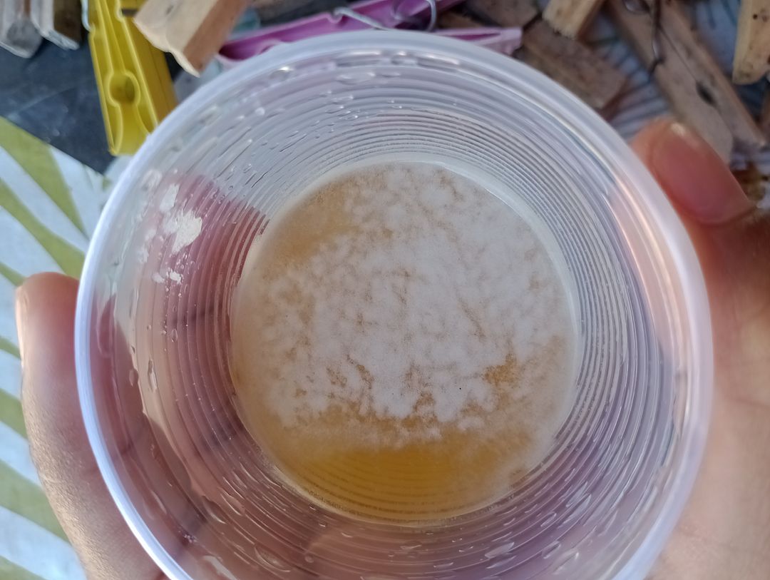 Guia Completo: Como Escolher o Teste de Gravidez de Farmácia Ideal