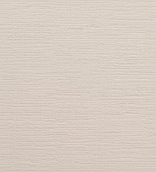 Tipos de Textura Nude para Paredes: Fulget