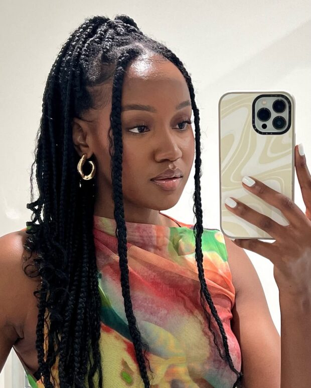 Box Braids Coloridos