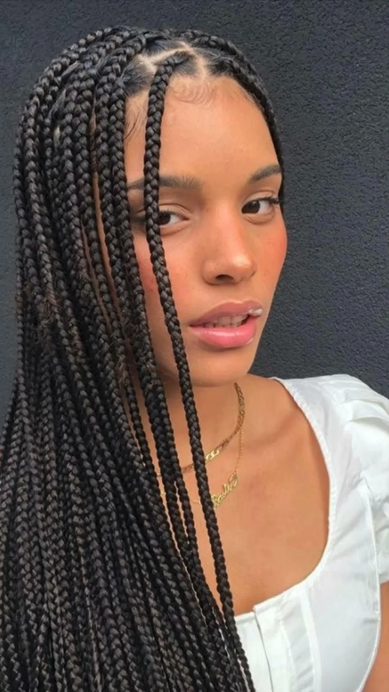 goddess braids inspiração