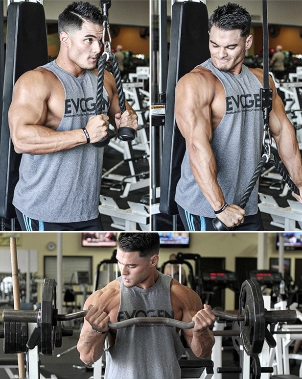 melhores treinos de braço para academia