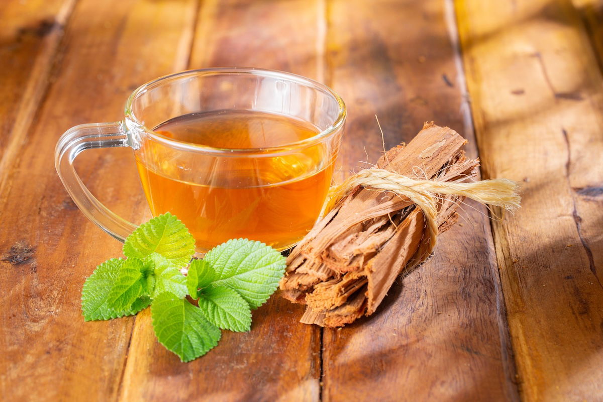 unha de gato para que serve