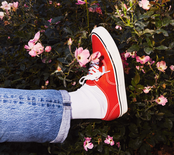 Vans Authentic com shorts