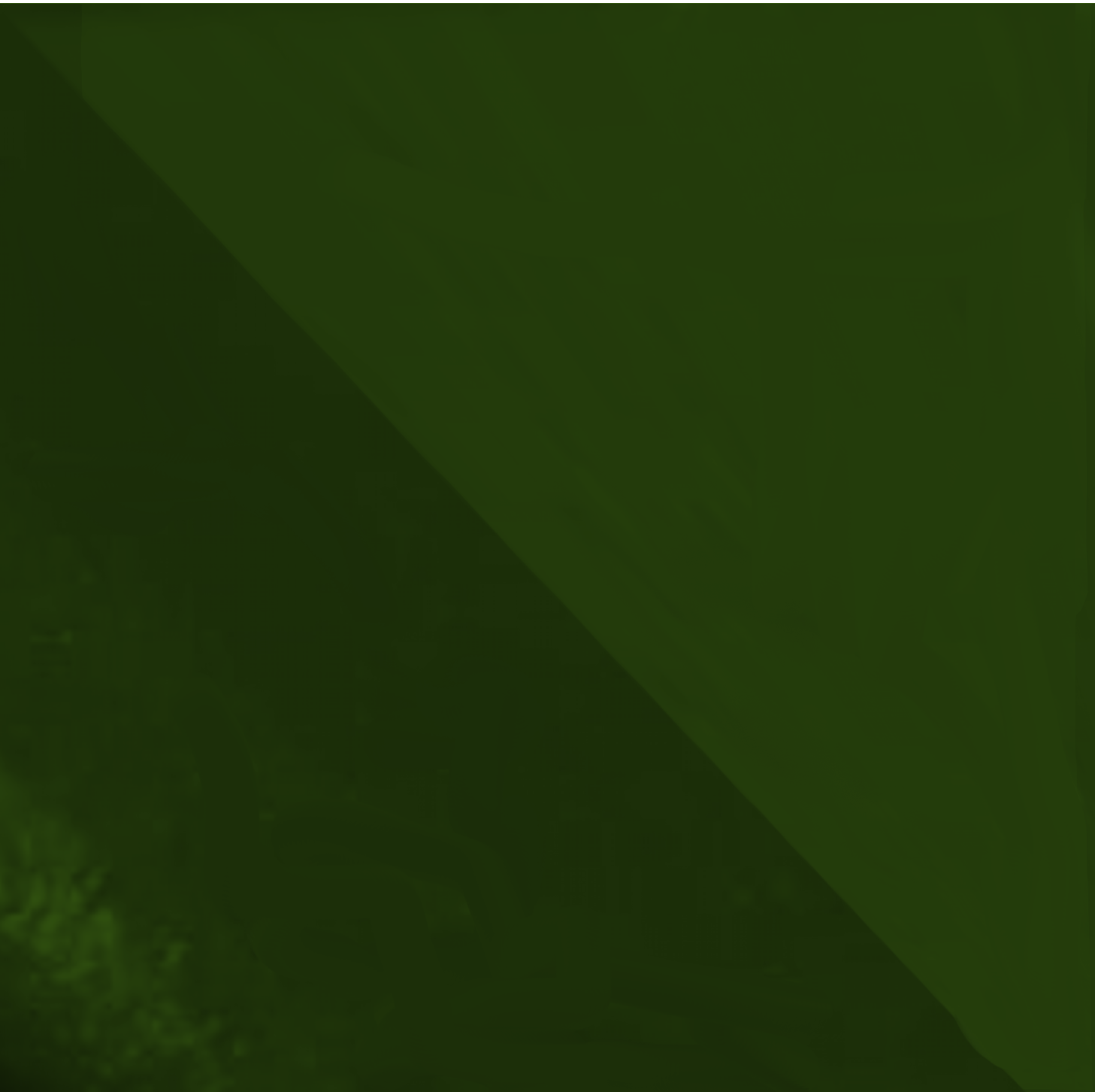 tonalidade verde exército