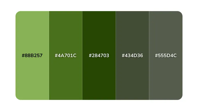 verde musgo neutro colorido