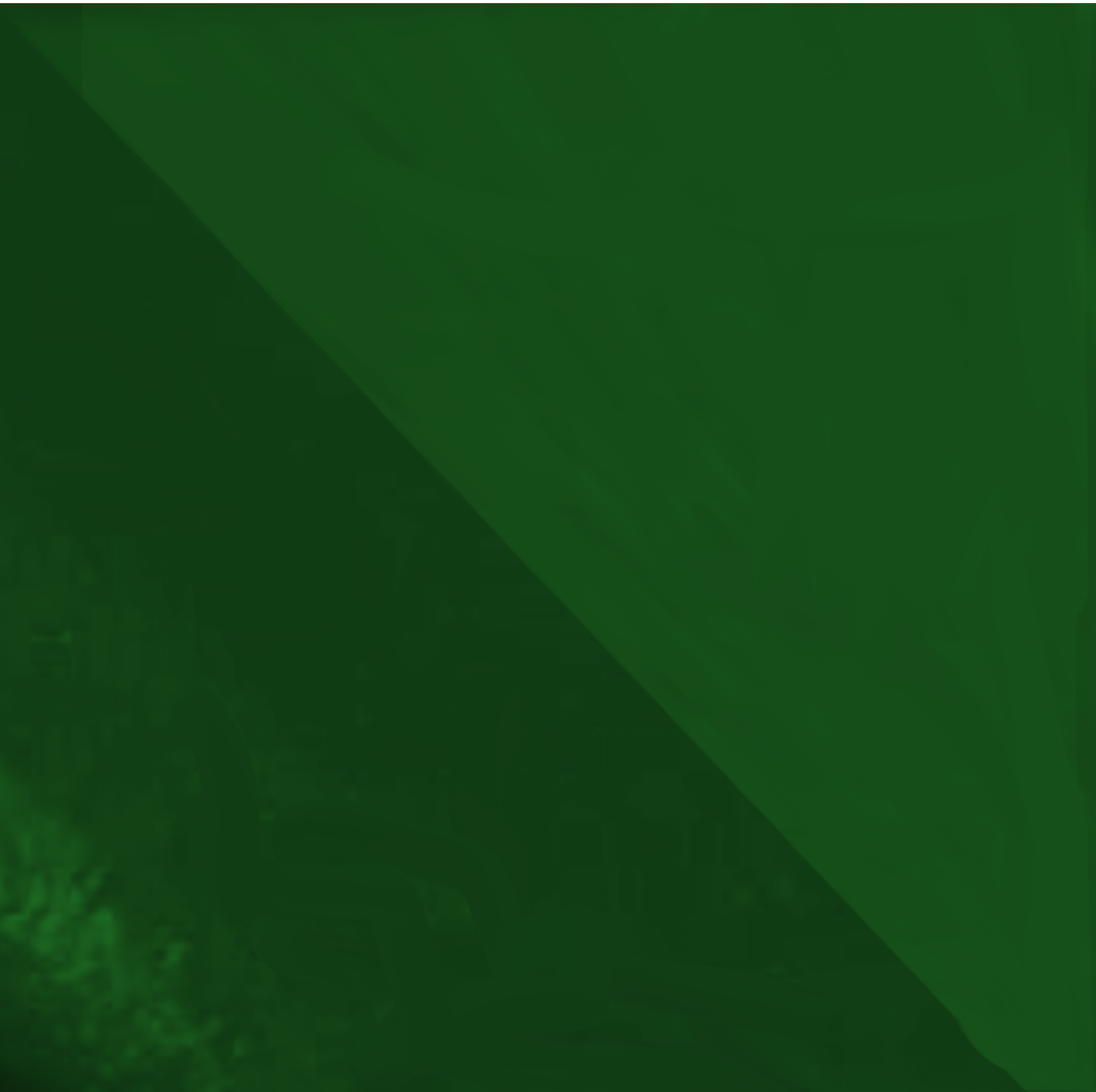 verde musgo combinações