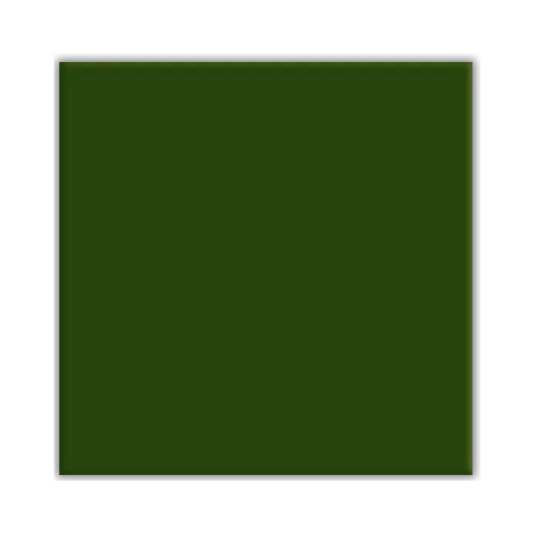 verde musgo roupa